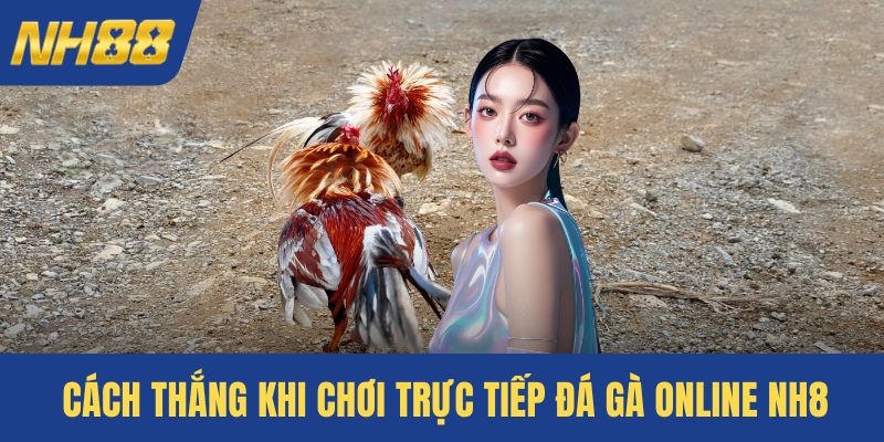Cách thắng khi chơi trực tiếp đá gà online NH8