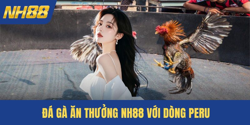 Đá gà ăn thưởng NH88 với dòng Peru