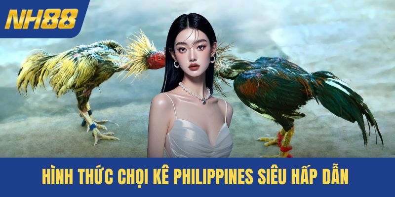 Hình thức chọi kê Philippines siêu hấp dẫn