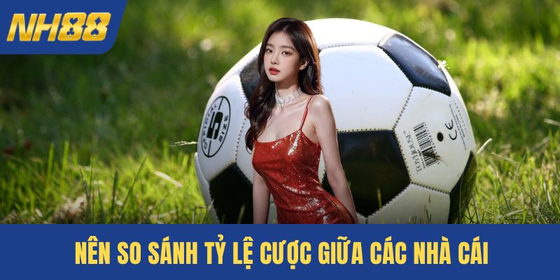 Nên so sánh tỷ lệ cược giữa các nhà cái