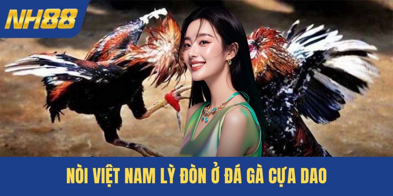 Nòi Việt Nam lỳ đòn ở đá gà cựa dao