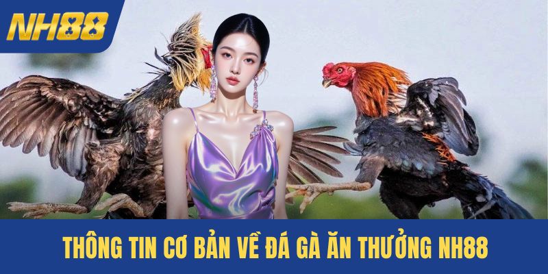 Thông tin cơ bản về đá gà ăn thưởng NH88