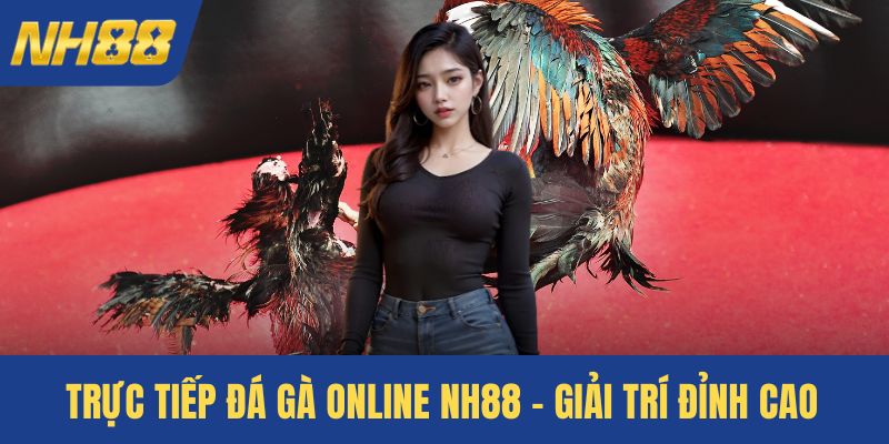 Trực tiếp đá gà online NH88