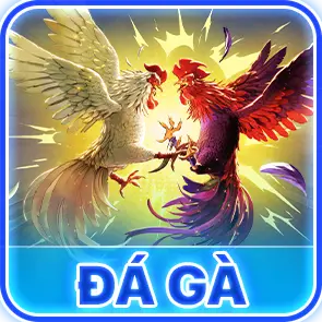 đá gà
